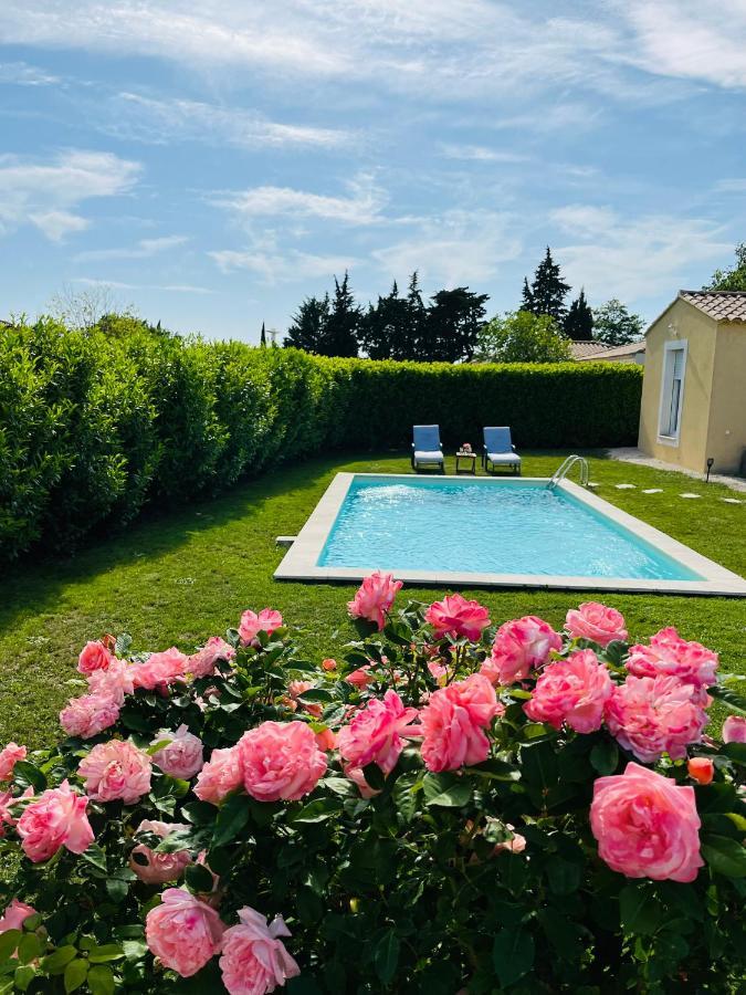 Un Coin Tropical En Provence ! Hotel LʼIsle-sur-la-Sorgue Buitenkant foto